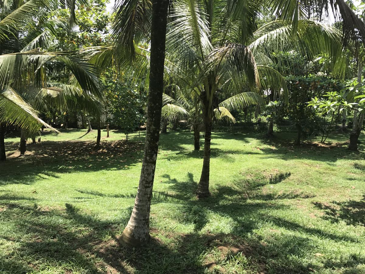 Good Vibes Villas أونا واتونا المظهر الخارجي الصورة